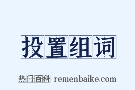 投置组词是什么意思的图片